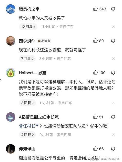 爆料被撞博主视频大全最新,被撞博主视频大全，还原事故现场真相